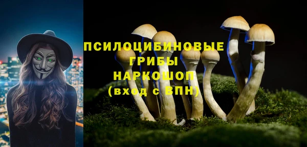 стаф Армянск