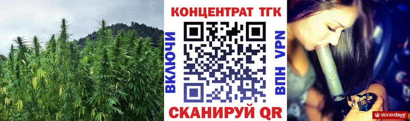 Купить закладки  Болохово  ТГК THC oil 