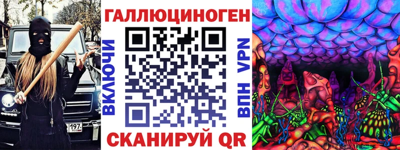 Купить  Болохово  Псилоцибиновые грибы мицелий 